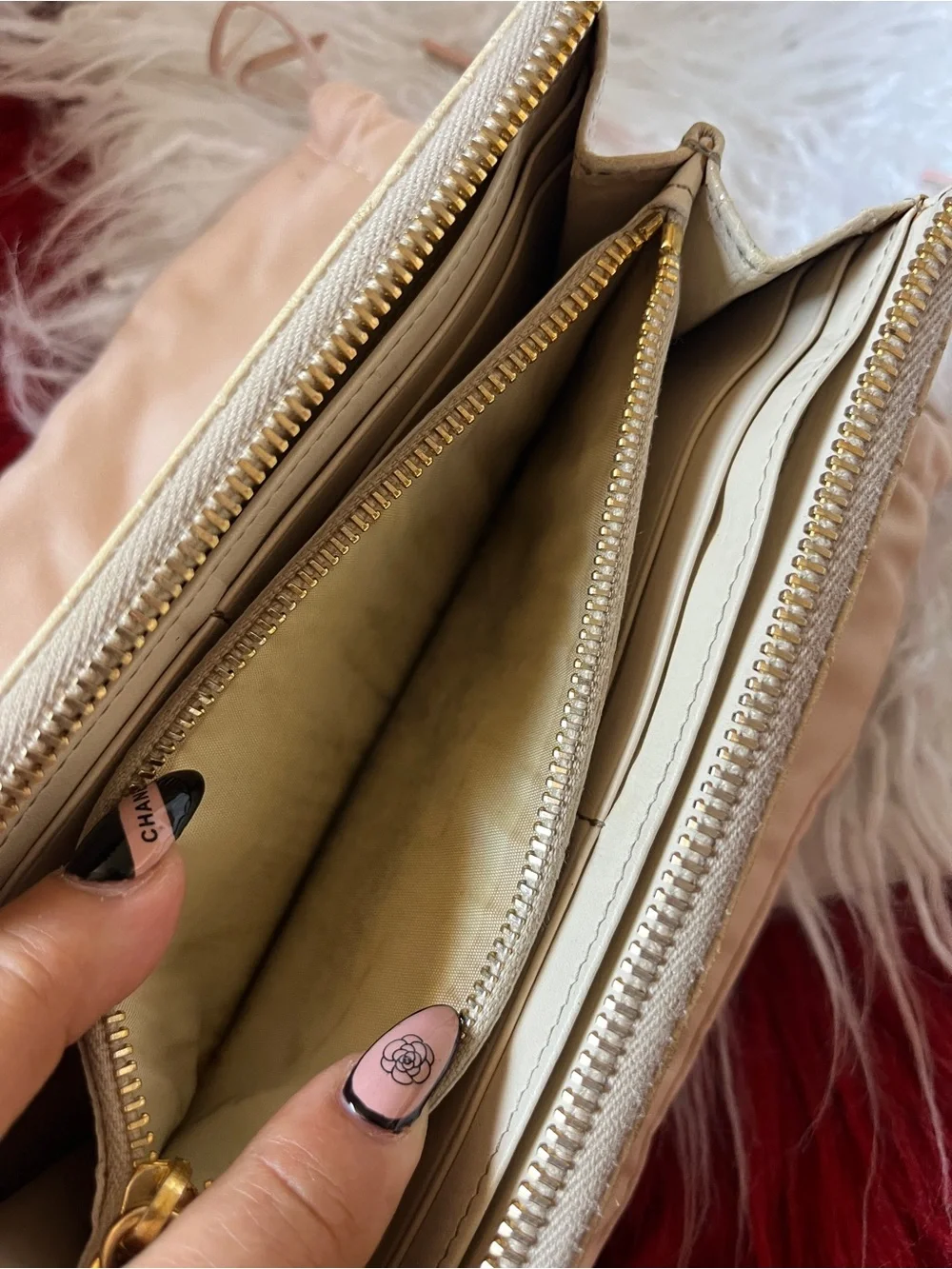 Miu Miu miu continental